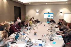 ECSM Workshop 4.3.2020 Bρυξέλλες